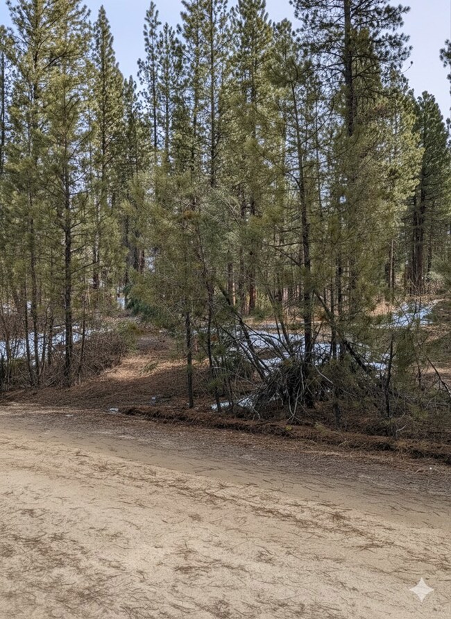 14/15 View Dr unit 14 & 15, Centerville, ID 83631 - photo 4