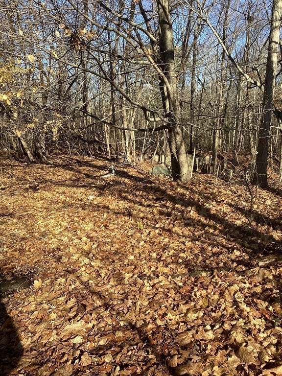 0 Prospect St, Brockton, MA 02301 - photo 6