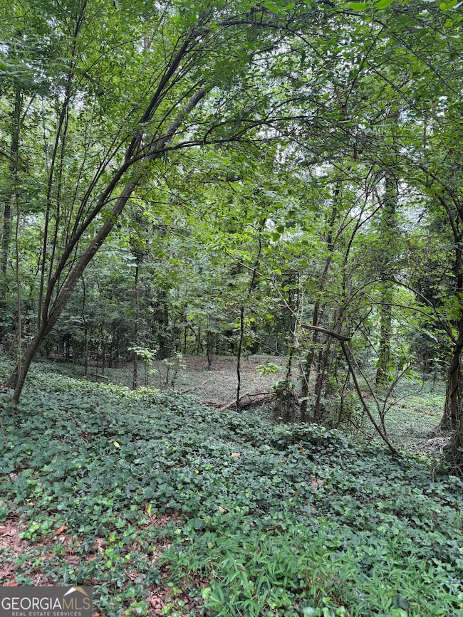 0 Turnbull Dr SE unit 10570009, Rome, GA 30161 - photo 3