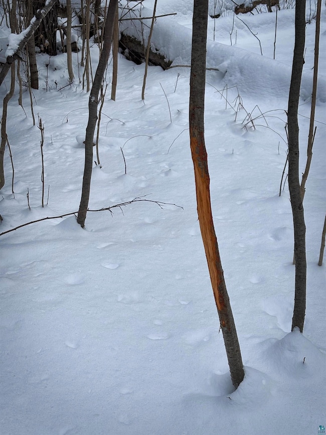 000 Campbell Rd, Clover, WI 54844 - photo 6