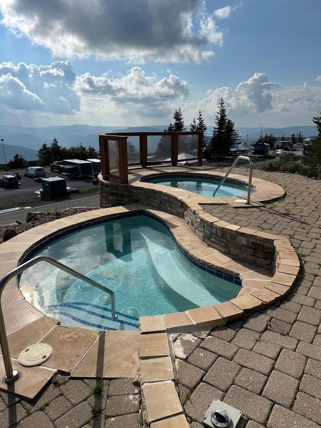 256 Rimfire Lodge, Snowshoe, WV 26209 - photo 4