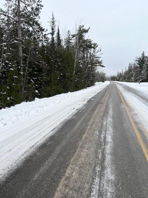 V/L Lot 69 E Grand Lake Rd, Presque Isle, MI 49777 - photo 5