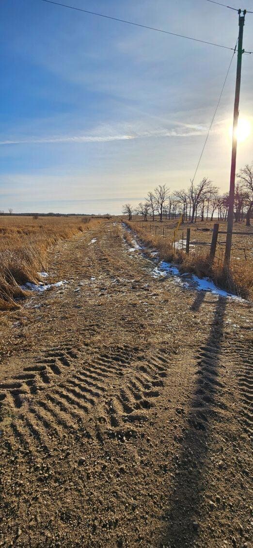 Parcel 6 Willow Rd NE, Carlos, MN 56319 - photo 3