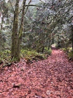 0 SW Glenwood Rd unit NWM2457669, Port Orchard, WA 98366 - photo 2