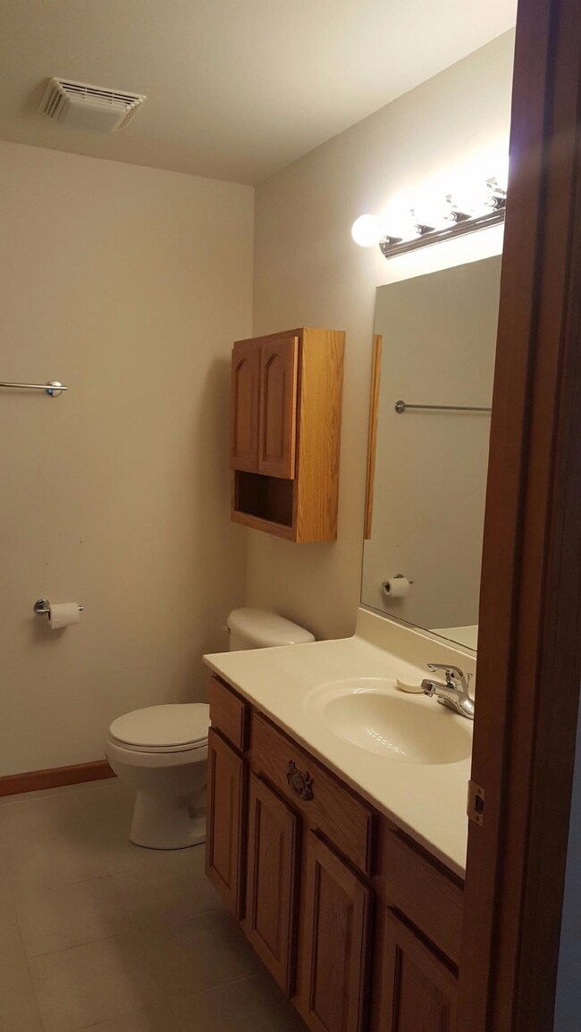 10397 Player St, Crown Point, IN 46307 - photo 6