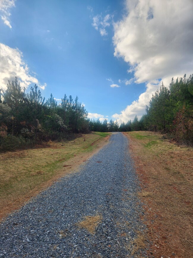 Highway 42, Culloden, GA 31016 - photo 7