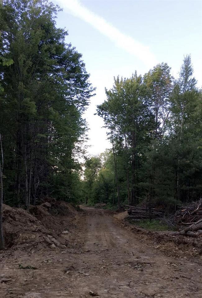 0 Franklin Pierce Hwy unit Map 126 Lot 61-1, Barrington, NH 03825 - photo 2