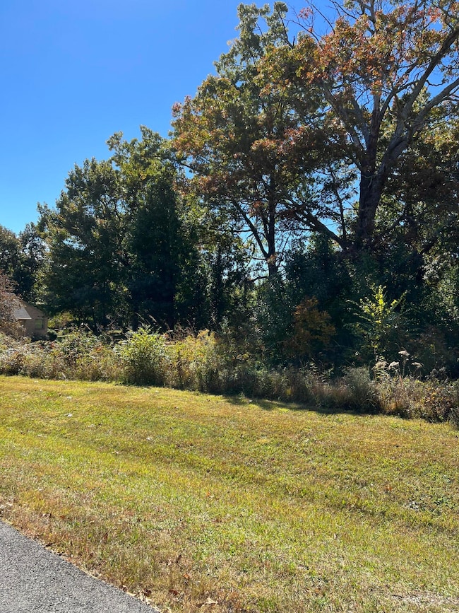 1012 Ridley Dr, Crossville, TN 38572 - photo 4