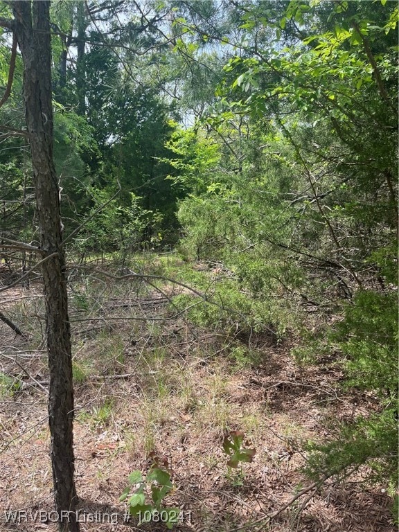 Tract 7 Station Rd, Bokoshe, OK 74930 - photo 3