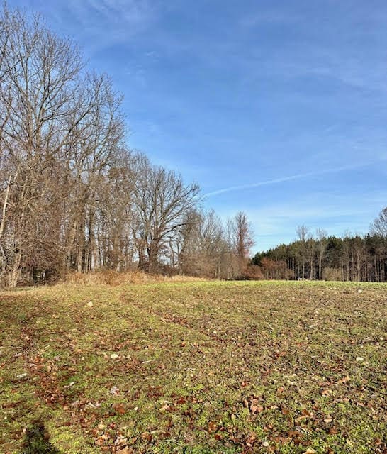 0 Seymour Rd unit Parcel C, Grass Lake, MI 49240 - photo 3