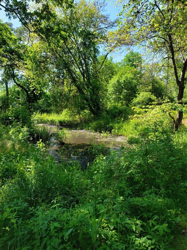 Water view
