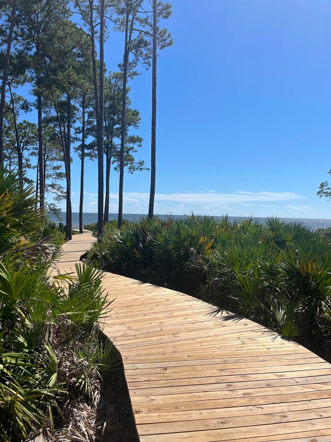 131 Lightning Bug Ln, Saint Teresa, FL 32358 - photo 4