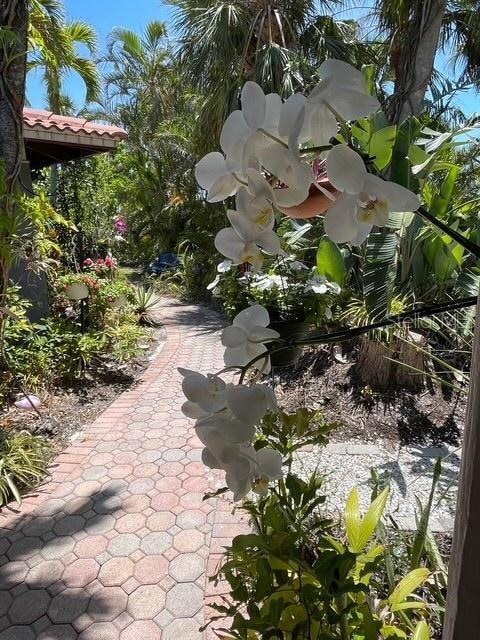 LANDSCAPE WALKWAY