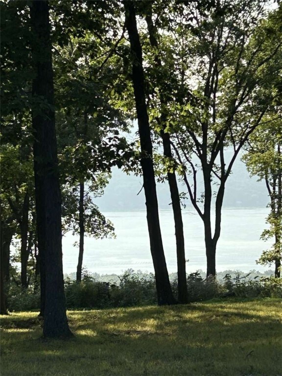 0 Satterly Way, Hector, NY 14818 - photo 4