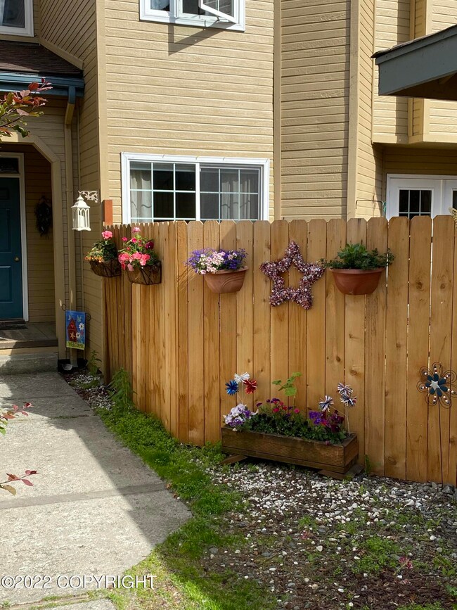 Cedar fence