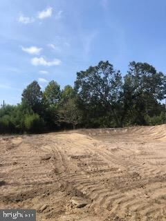 205 Pemberton Browns Mill Rd, Browns Mills, NJ 08015 - photo 3