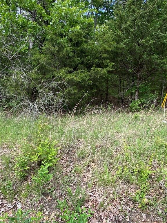 000 Oakdale Cir, Benton Township, MO 65453 - photo 2