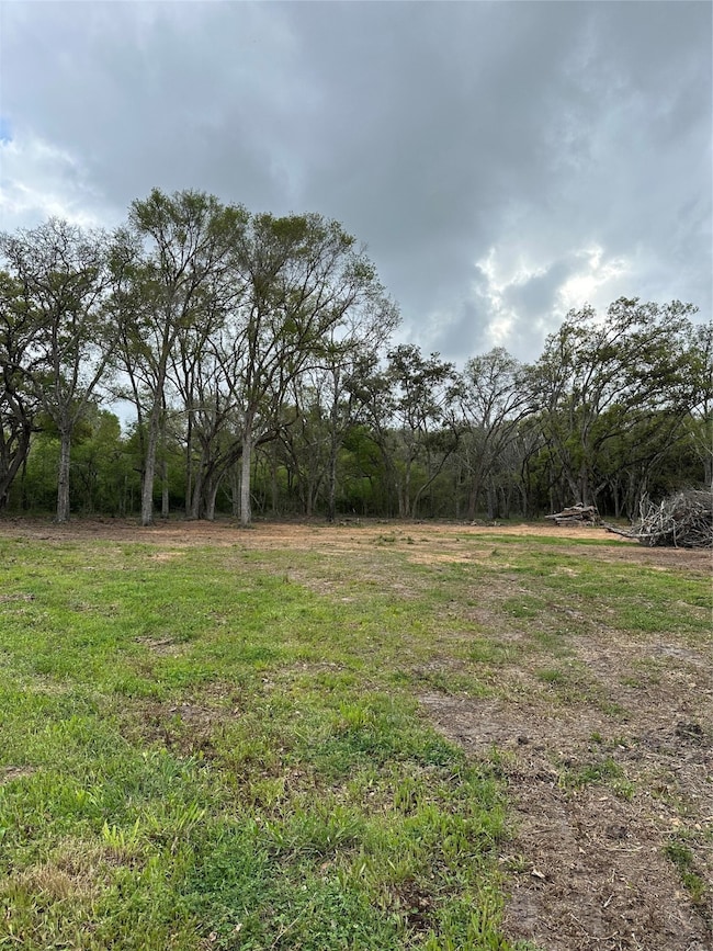 0 County Road 567, Rosharon, TX 77583 - photo 4