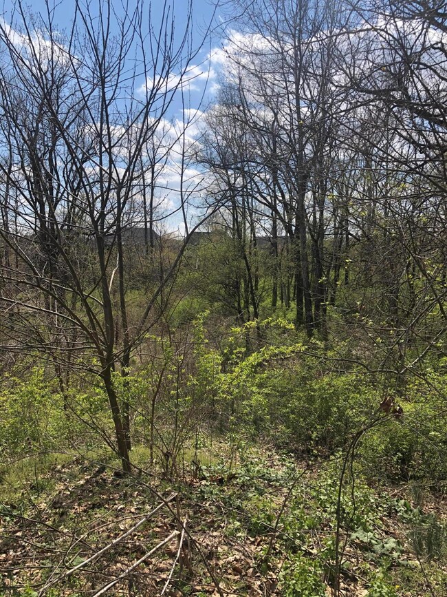 Tree's 2 River