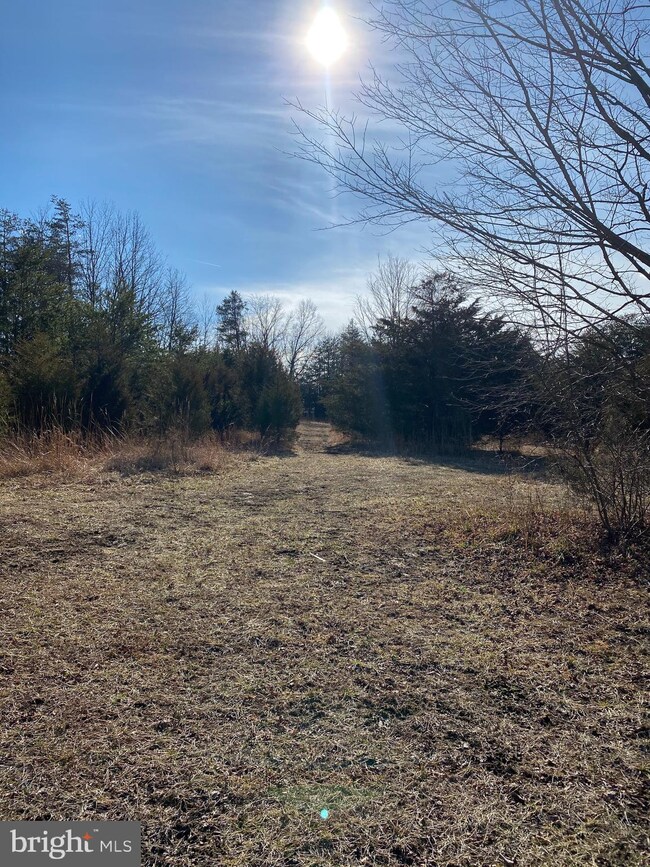 17 Low Rider Dr, Old Fields, WV 26845 - photo 4