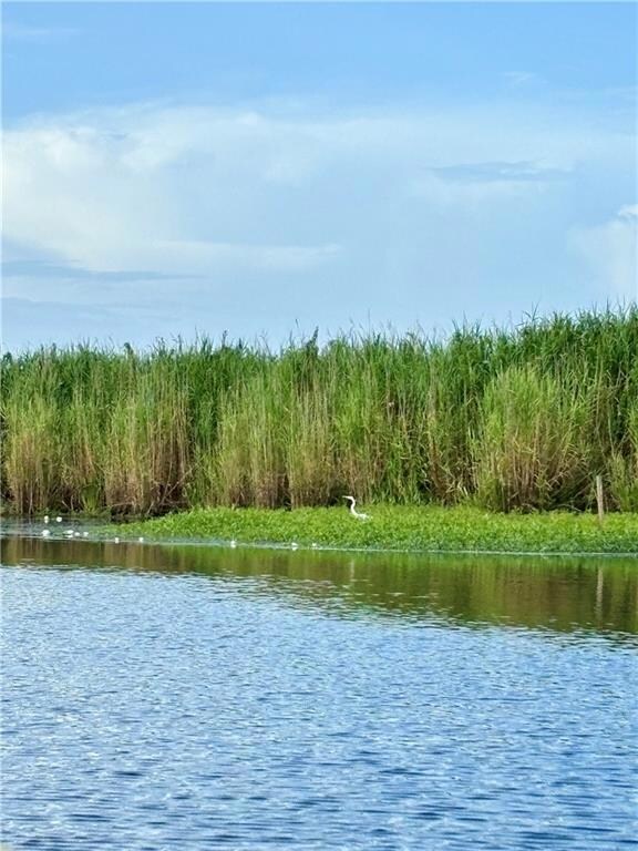 Bayou Lacombe