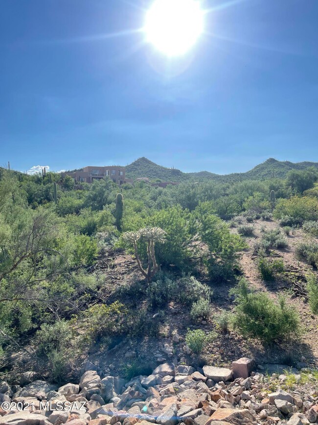 3167 W Sparkling Starr Dr unit 61, Tucson, AZ 85745 - photo 2