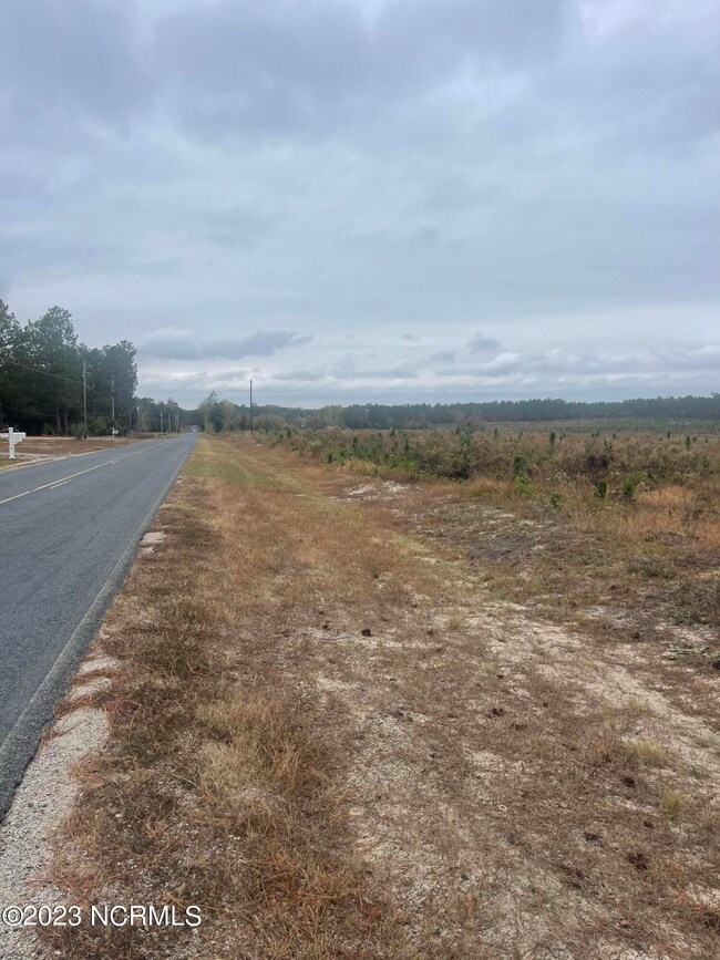 0 Boyd Lake unit 100412372, Hamlet, NC 28345 - photo 5