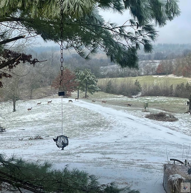 150 Twin Creeks Ln, Lockesburg, AR 71846 - photo 3