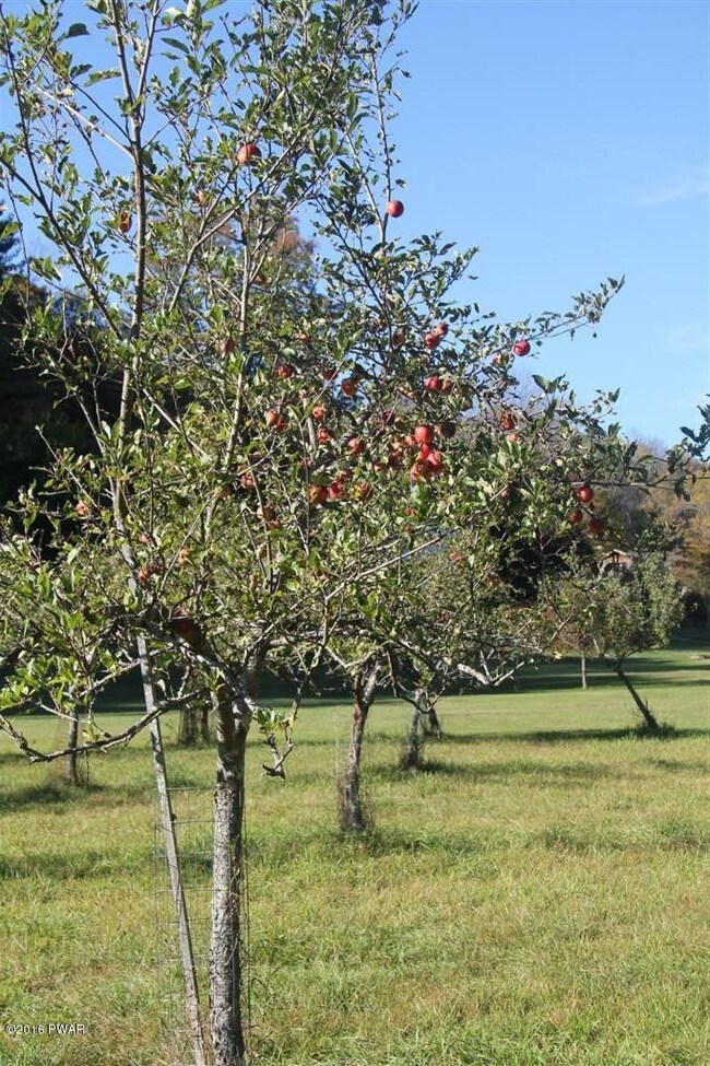 73 Torrey Rd, Honesdale, PA 18431 - photo 3