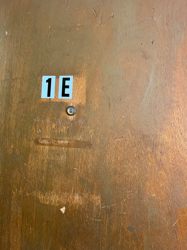 14629 Karlov Ave unit 1E, Midlothian, IL 60445 - photo 6