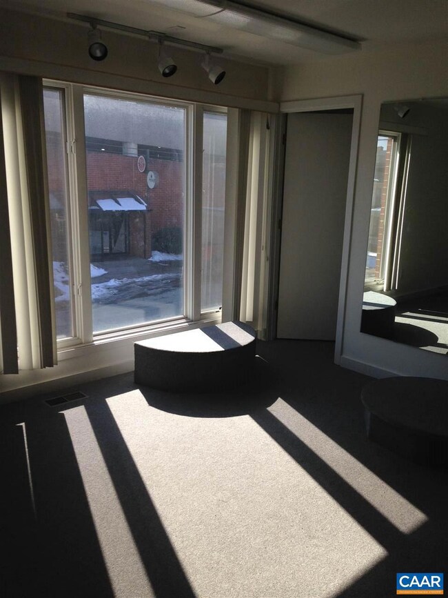 1311 Wertland St unit C, Charlottesville, VA 22903 - photo 4