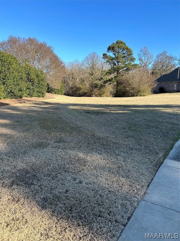 53 Mullis Creek, Pike Road, AL 36064 - photo 4