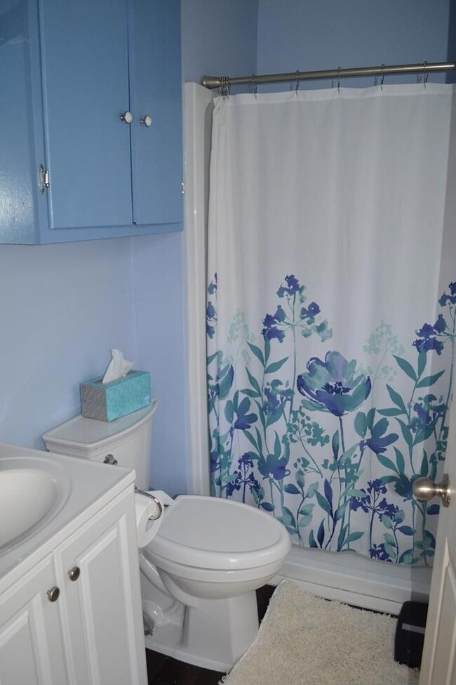 310 W Nimitz St, Fredericksburg, TX 78624 - photo 6