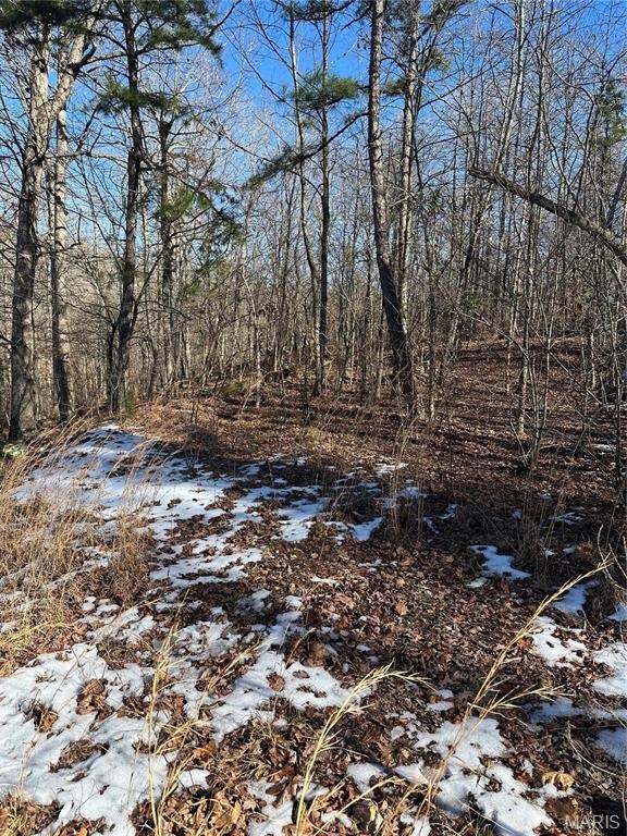 0 0 Ripley U-1a unit MAR25002541, Doniphan, MO 63935 - photo 5