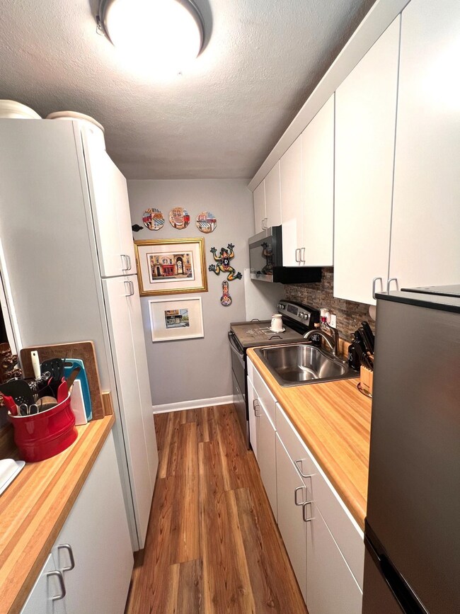 Kitchen featuring black electric range, backsplash