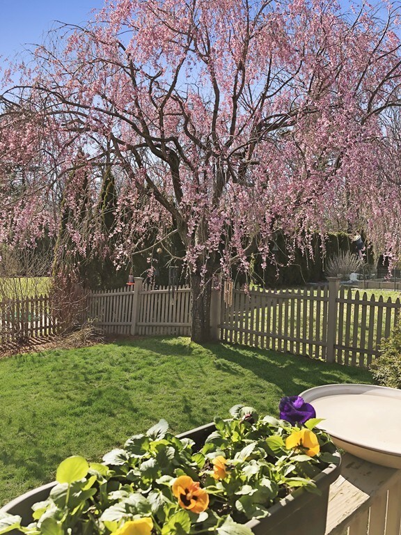 7 Freedom Way, Lowell, MA 01854 - photo 4