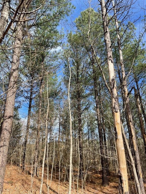 774 Timber Creek Trails South XI, Broken Bow, OK 74728 - photo 4