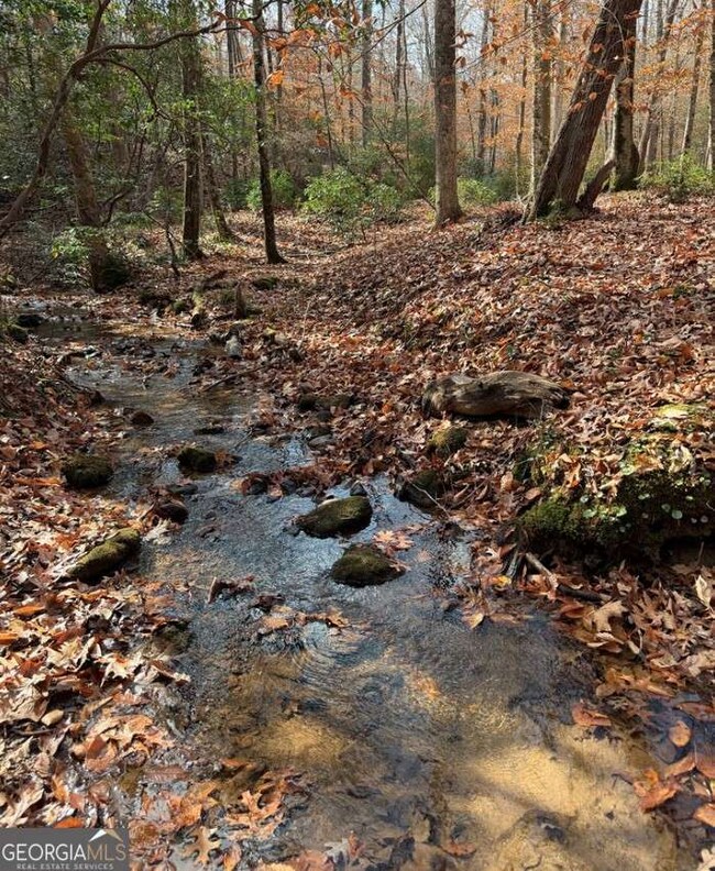Lot A Magnums Trail unit A, Blue Ridge, GA 30513 - photo 2