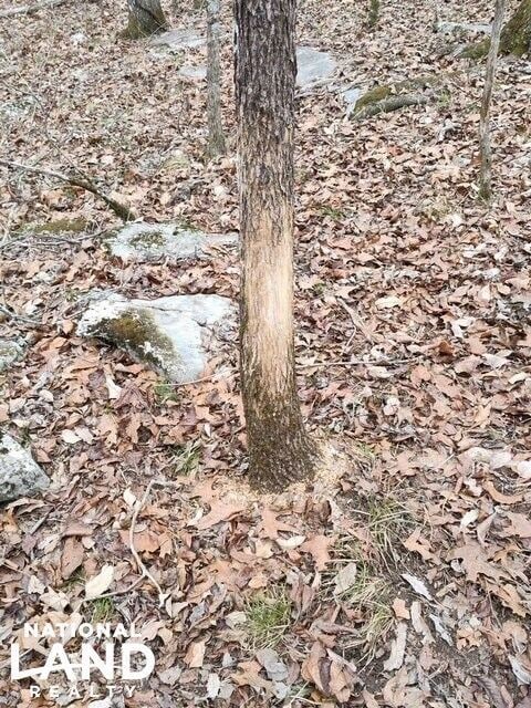 0 Southard Rd unit 25767772, Gurley, AL 35748 - photo 5