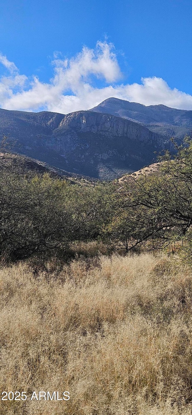 TBD S Stephanie Place, Hereford, AZ 85615 - photo 3