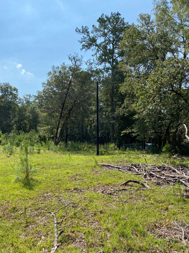 00 Mill Creek Rd, Huntington, TX 75949 - photo 4