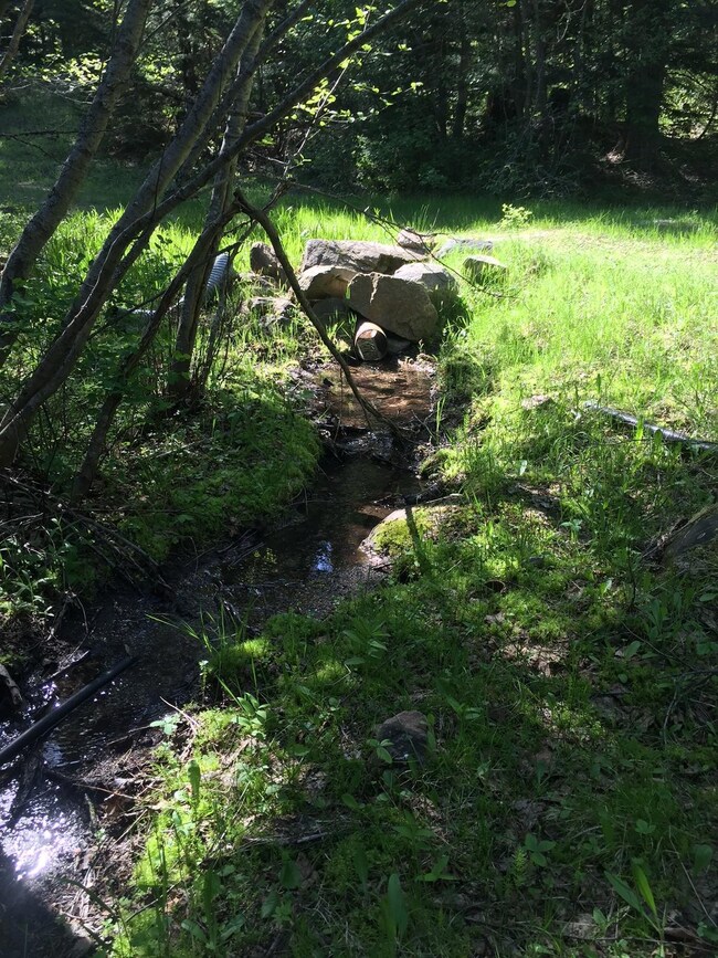 Stream