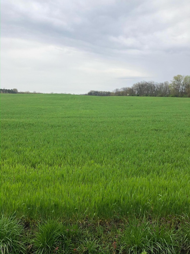 13556 Rosewood Rd NE, Walnut Township, OH 43076 - photo 2