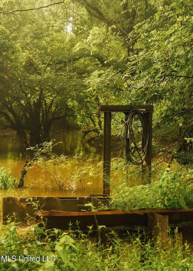 Castens Creek Pics-19