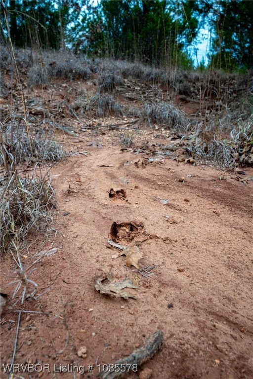 Tract 4 Acme Rd, Asher, OK 74826 - photo 3