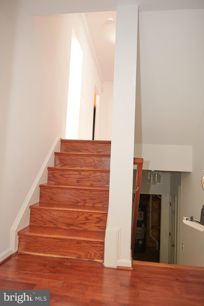 25338 Mcintyre Square, Chantilly, VA 20152 - photo 5