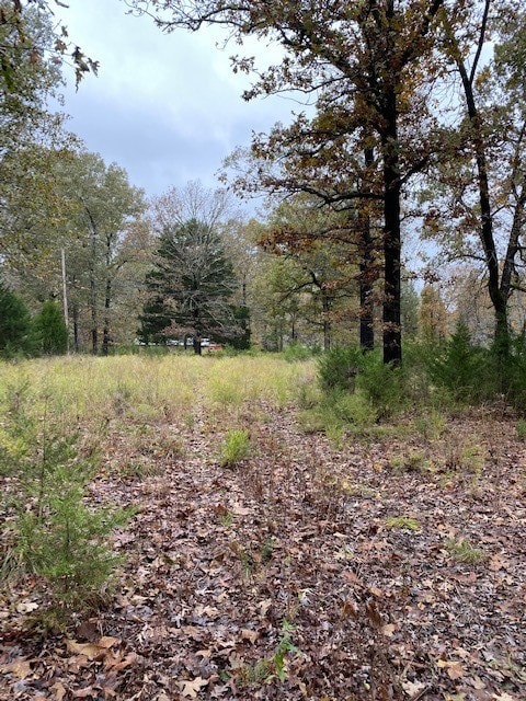 0 Marion County 8080, Flippin, AR 72634 - photo 6