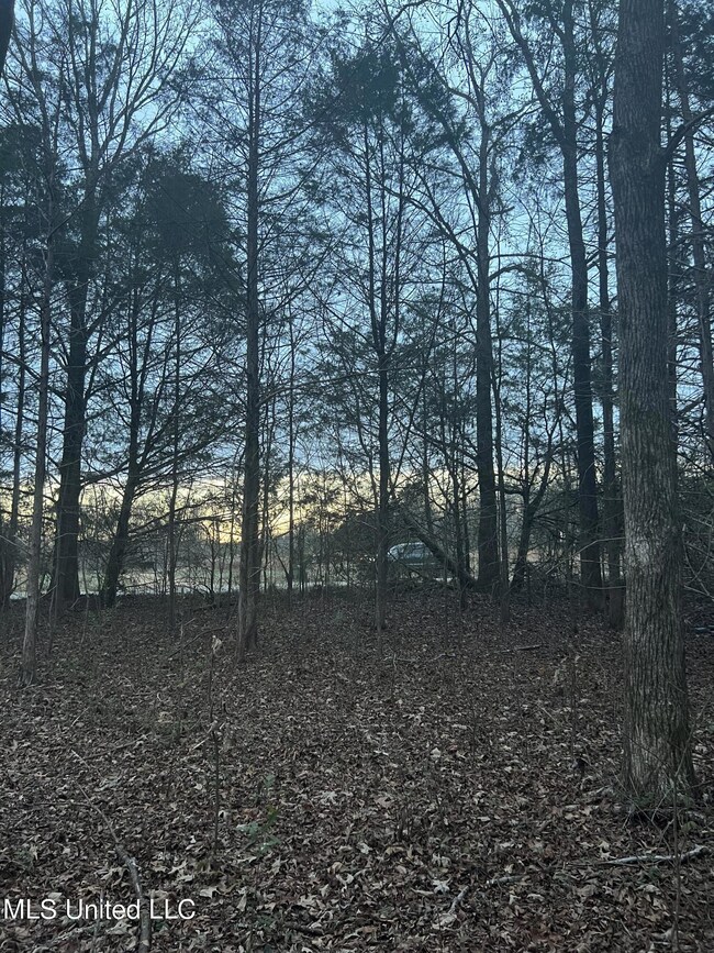 D211587F-4B3B-48C7-B9BB-3E16041A4E03