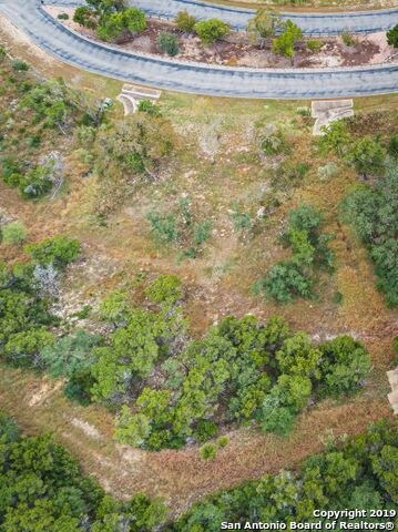 8811 Falcon Place, San Antonio, TX 78256 - photo 4