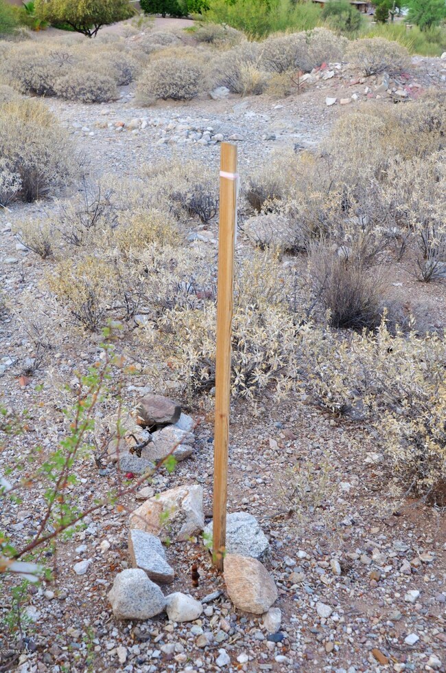 5262 N Gate Ridge Rd, Tucson, AZ 85750 - photo 7